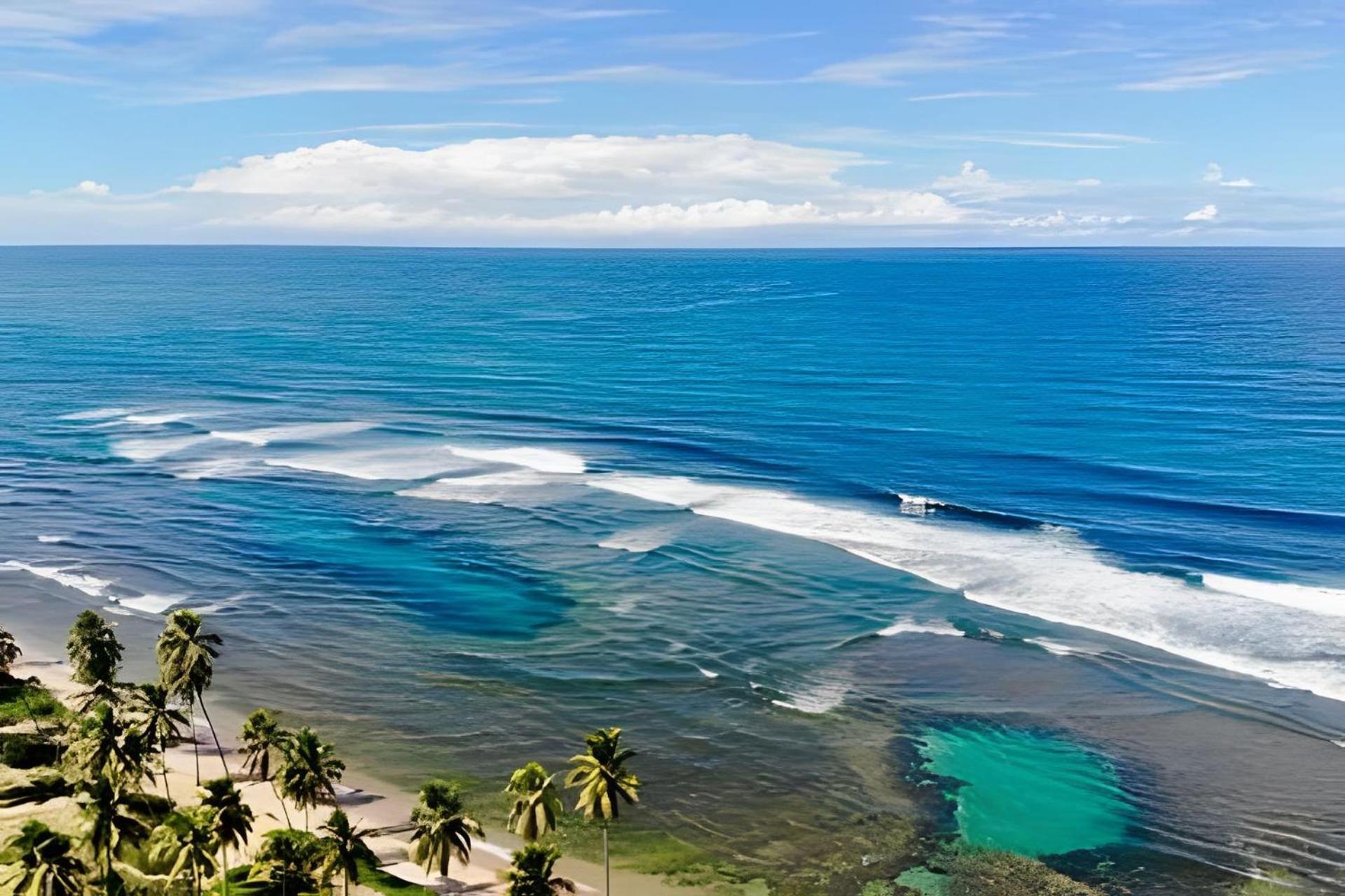 Praia Do Forte Apartamento Fantastico 外观 照片