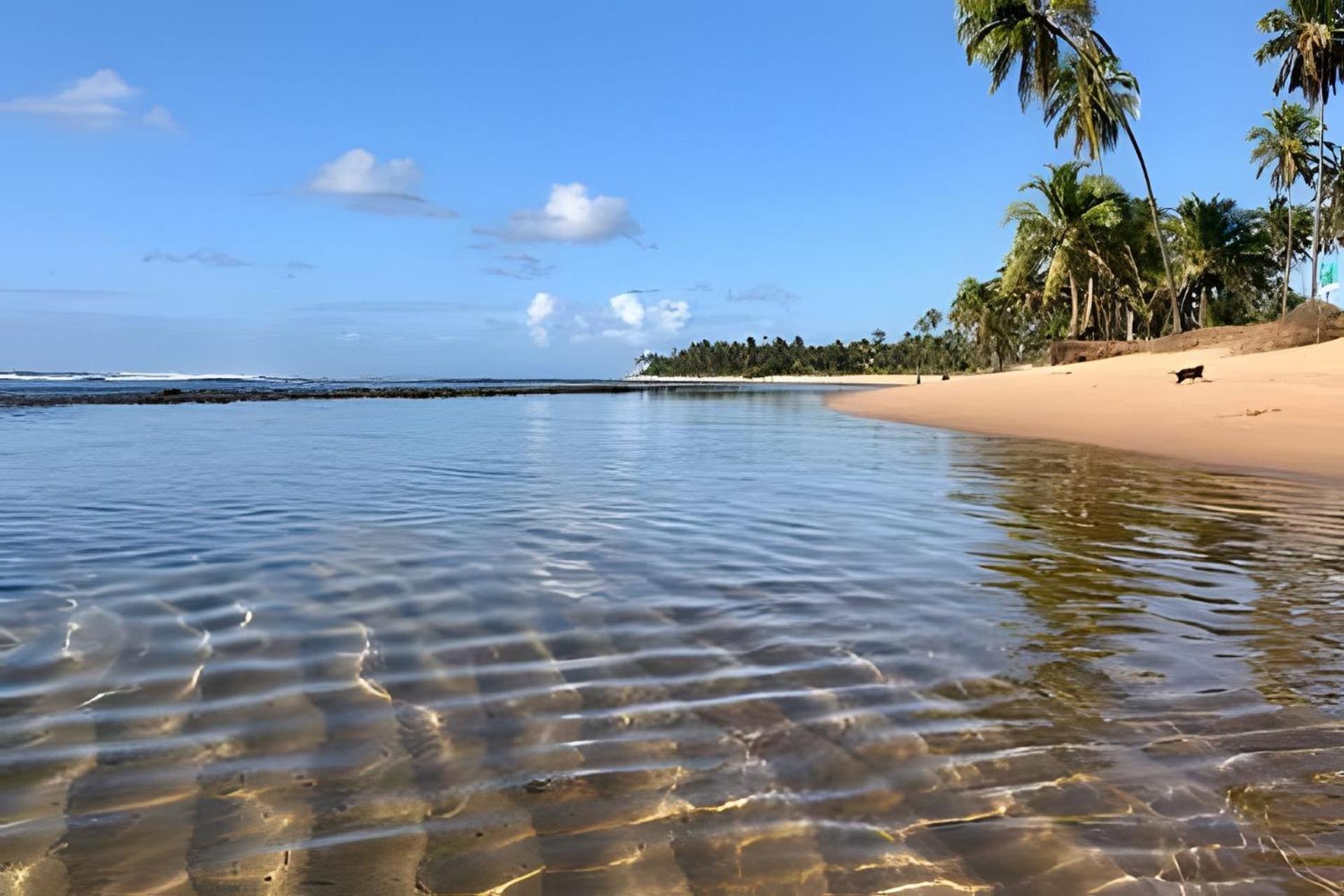 Praia Do Forte Apartamento Fantastico 外观 照片