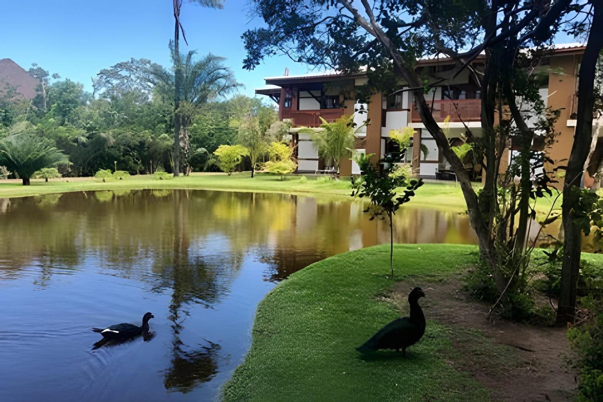Praia Do Forte Apartamento Fantastico 外观 照片